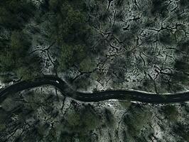 Aerial view of a highway winding through a forest in both summer and winter seasons. Generative AI photo