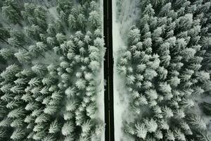 Aerial view of a highway winding through a forest in both summer and winter seasons. Generative AI photo