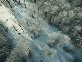 Aerial view of a highway winding through a forest in both summer and winter seasons. Generative AI photo