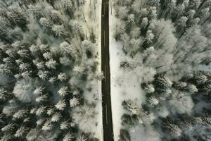 Aerial view of a highway winding through a forest in both summer and winter seasons. Generative AI photo