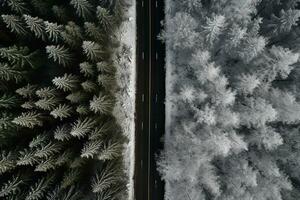 Aerial view of a highway winding through a forest in both summer and winter seasons. Generative AI photo