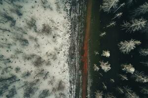 aéreo ver de un autopista devanado mediante un bosque en ambos verano y invierno estaciones. generativo ai foto