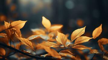 Falling autumn background with bokeh effect, abstract design with copy space. Generative AI photo