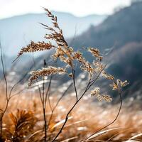 Gentle mountain forest breeze, snowy sky backdrop, swaying winter plants, and serene branches in a tranquil natural scene. Generative AI photo