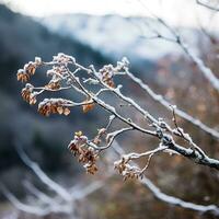 Gentle mountain forest breeze, snowy sky backdrop, swaying winter plants, and serene branches in a tranquil natural scene. Generative AI photo