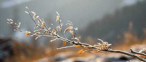 Gentle mountain forest breeze, snowy sky backdrop, swaying winter plants, and serene branches in a tranquil natural scene. Generative AI photo