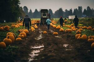 Rainy autumn day at a pumpkin farm, perfect for family picking. Get your Thanksgiving pie ingredients and enjoy organic, non-GMO veggies. Generative AI photo