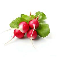 A bunch of fresh radishes isolated. High resolution. photo