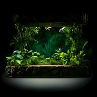 Jungle product display podium or stage product show High resolution. AI Generative photo