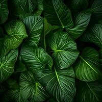 Close shot of green leaves texture. High-resolution. AI Generative photo