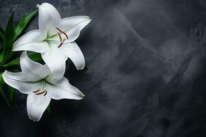 Beautiful white lily flowers on black background with copy space.Funeral Concept AI generated photo