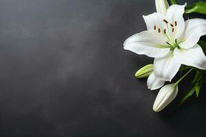 Beautiful white lily flowers on black background with copy space.Funeral Concept AI generated photo