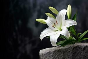 Beautiful white lily flowers on black background with copy space.Funeral Concept AI generated photo