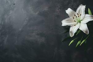 Beautiful white lily flowers on black background with copy space.Funeral Concept AI generated photo