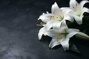 Beautiful white lily flowers on black background with copy space.Funeral Concept AI generated photo