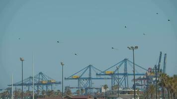 fliegend Drachen und Container Kräne im das Hafen, valencia video