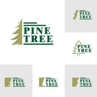 Set of Pine Tree logo design vector. Creative Pine logo concepts template vector