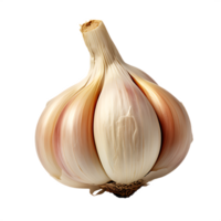 isolated fresh garlic, ai generative png