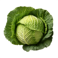 fresh green cabbage, ai generative png