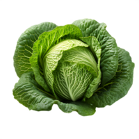 fresh green cabbage, ai generative png