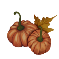 illustrazione di zucca matura png