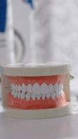un modelo de un diente con un cepillo de dientes video