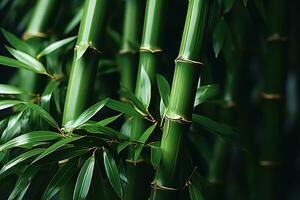 Green bamboo nature background. AI Generated photo