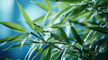 Green bamboo nature background. AI Generated photo