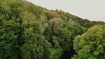 volare lontano al di sopra di il fiume e alberi nel bernardinai giardino nel vilnius Lituania. 4k metraggio video