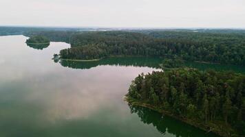 View from the top of the longest lake Asveja in Lithuania video