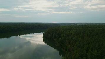 View from above of the lake in the middle of the forest. Asveja is the longest lake in Lithuania video