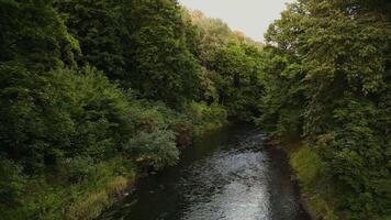 Kamera Spanne entlang das Flussbett im bernardinai Garten im vilnius Litauen video