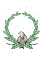 Watercolor illustration of a wreath of fir trees with a sitting bird and branches of snow. png