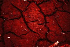 Cracked scary bloody wall texture, Red background concept halloween photo