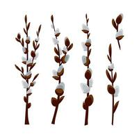 A small set of willow branches. Spring plants. Easter decor. vector