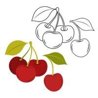 Doodle illustration of sweet cherry. Red ripe cherry. Summer cherry fruit on a white background. vector