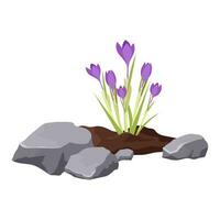 Flowerbed lined with stones. Planted crocus flowers in a flower bed. Growing spring flowers. vector
