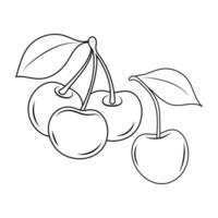 Doodle illustration of sweet cherry. Sweet cherry. Sweet cherry vector illustration