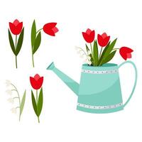 Bouquet of spring flowers in a watering can. Bouquet of tulips and lilies of the valley. Decorative spring elements for your design. vector