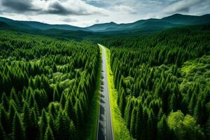 aéreo foto de un lozano bosque con un Derecho la carretera