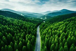 aéreo foto de un lozano bosque con un Derecho la carretera