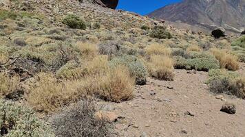 le roques de garcia Roche formations sur le canari île de tenerife. video