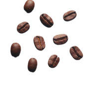 Coffee bean no background png