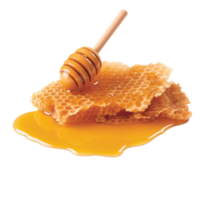 Honey no background png