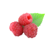 frambuesa Fruta No antecedentes png