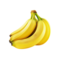 Banane Bündel Obst Nein Hintergrund png