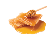 Honey no background png