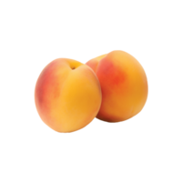 Aprikose Obst Nein Hintergrund png