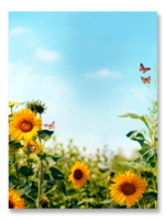 sunflower garden poster, summer template, generative ai png