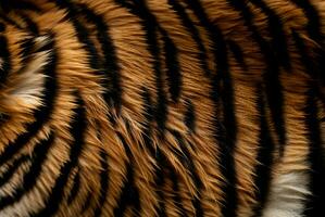 Fur wild tiger animal. Generate Ai photo